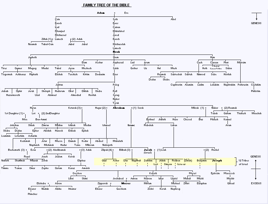 Adam And Family Tree Chart